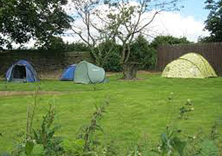 Orchard Camping - site 2