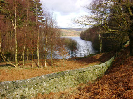 View across Dale Dyke Reservoir.
